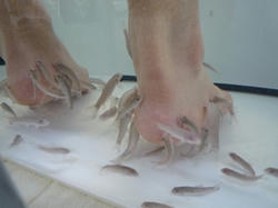 aP1030023.jpg
