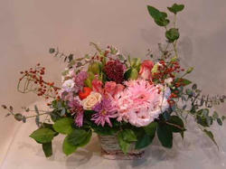 DSCF0003.jpg