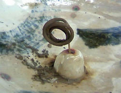 aTS3P0014.jpg