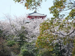 aP1040027.jpg