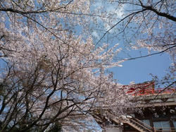 aP1040043.jpg