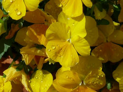 aP1040073.jpg
