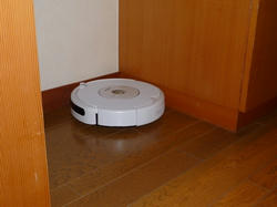 aP1040735.jpg