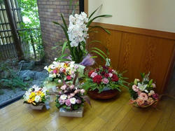aP1040898.jpg