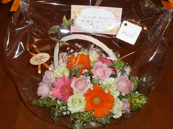 aP1050236.jpg