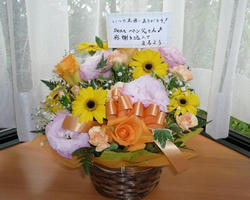 aP1050352.jpg