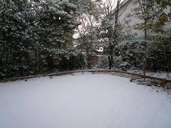 aP1050788.jpg