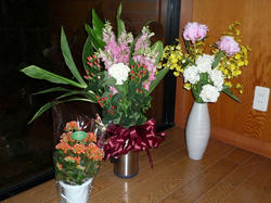 aP1070017.jpg