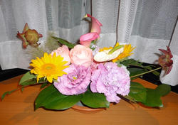 P1070049.JPG