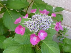 P1070055.JPG