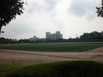 P1000801.JPG