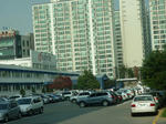 P1000877.JPG