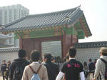 P1000885.JPG