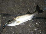 20071027.jpg