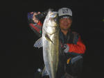 DSC02430.JPG