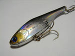 DSC02497.JPG