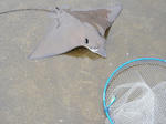 2010071103.jpg