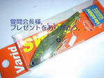 DSC02687.JPG