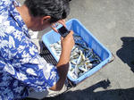 2010082804.jpg