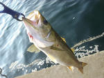 20100804022.jpg