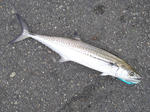 2010110704.jpg