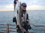 2010121102.jpg