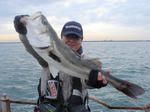2010121103.jpg