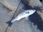 2011010301.jpg