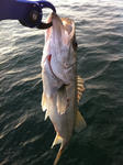 2011010302.jpg