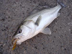 2011010902.jpg