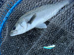 2011011002.jpg