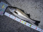 2011030601.jpg