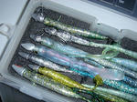 20110517.jpg
