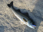 20110828011.jpg