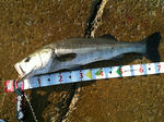 20110828021.jpg