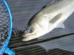 2011091701.jpg
