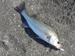 2011092501.jpg