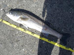2011092502.jpg