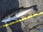 2011100901.jpg