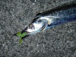 2011110501.jpg