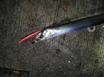 2011111201.jpg