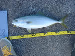 2011120409.jpg