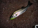 2012010901.jpg