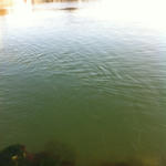 20120211.jpg