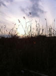 20120303013.jpg