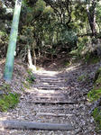 2012042901.jpg
