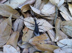 2012042902.jpg