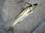 2012052601.jpg