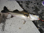 2012052602.jpg