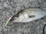 2012060204.jpg